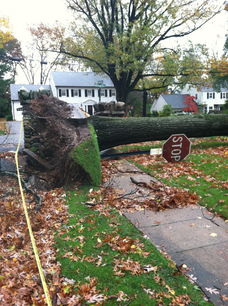 Hurricane Sandy Destruction 3